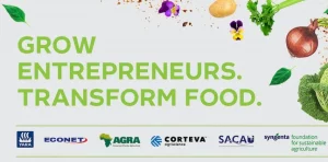 The GoGettaz Agripreneur Prize Competition has returned - YOA - OPPORTUNITIES FOR AFRICANS