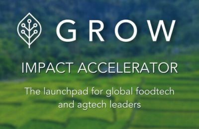 Grow Impact Accelerator program 2023 cohort 4