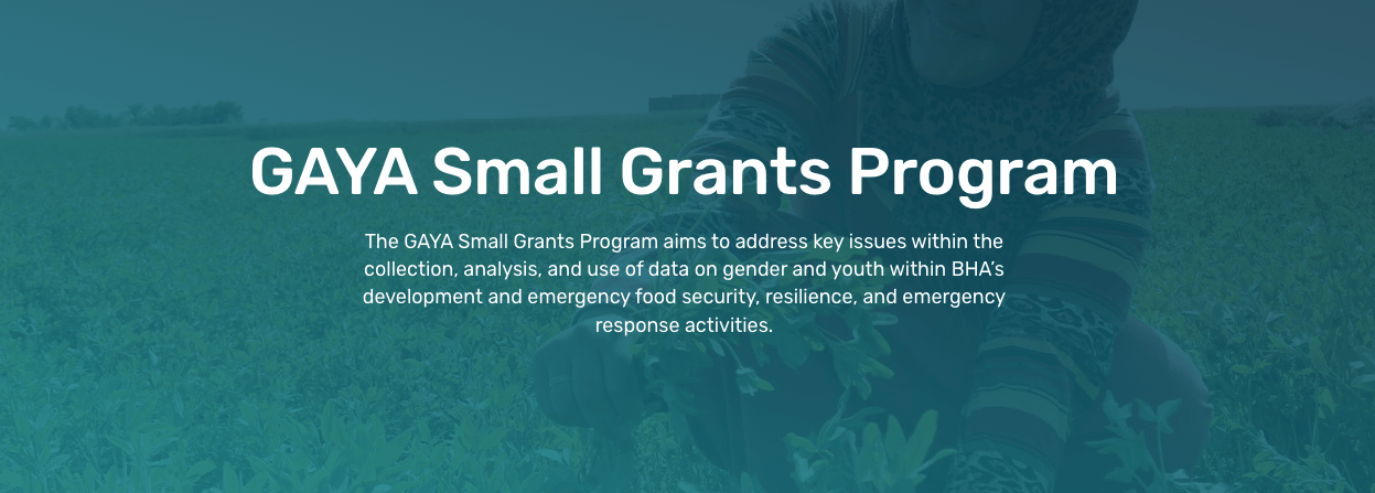 Gaya small Grants Programme 2023