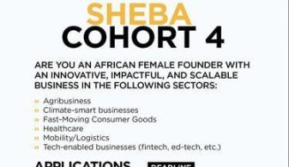 ECOWAS Region ShEquity Business Accelerator (SHEBA) 2023 for Female Entrepreneurs (US$50K and $250K in Funding)