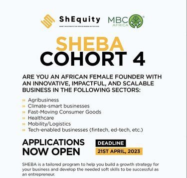 ECOWAS Region ShEquity Business Accelerator (SHEBA) 2023 for Female Entrepreneurs, Opportunities For Africans, African Opportunities
