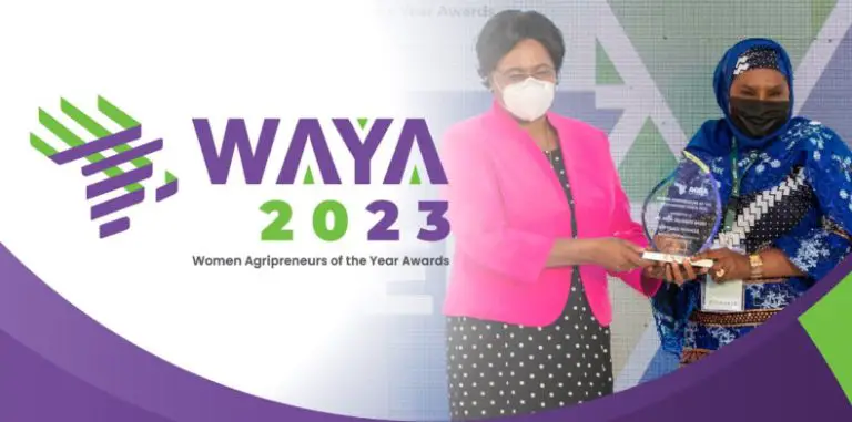 The 2023 VALUE4HER Women Agripreneurs of the Year Awards -WAYA are now accepting applications. (USD $ 85, 000)