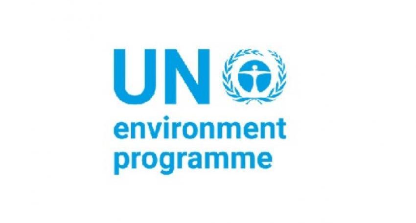 14 United Nations Professional Job Openings/Vacancies with UNEP