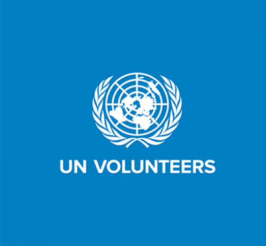 31 UN Volunteer Specialist Jobs (Modest Monthly Living Allowance | Medical | and Visa Sponsored)