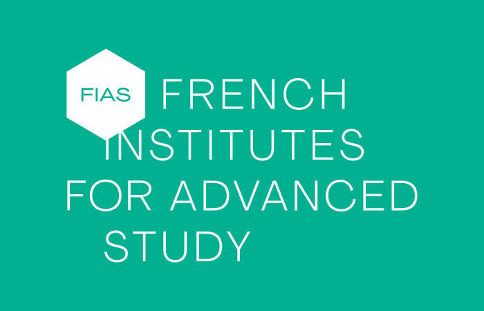 The French Institutes for Advanced Study Fellowship Programme 2023