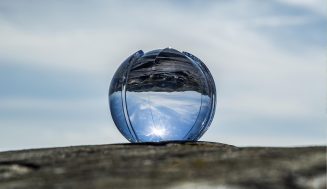 Environmental scientists will receive the EUR 150,000 Volvo Environment Prize in 2024.