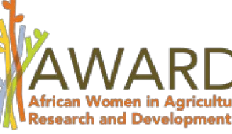 Emerging African Women in Science: The AWARD Leadership Program 2023