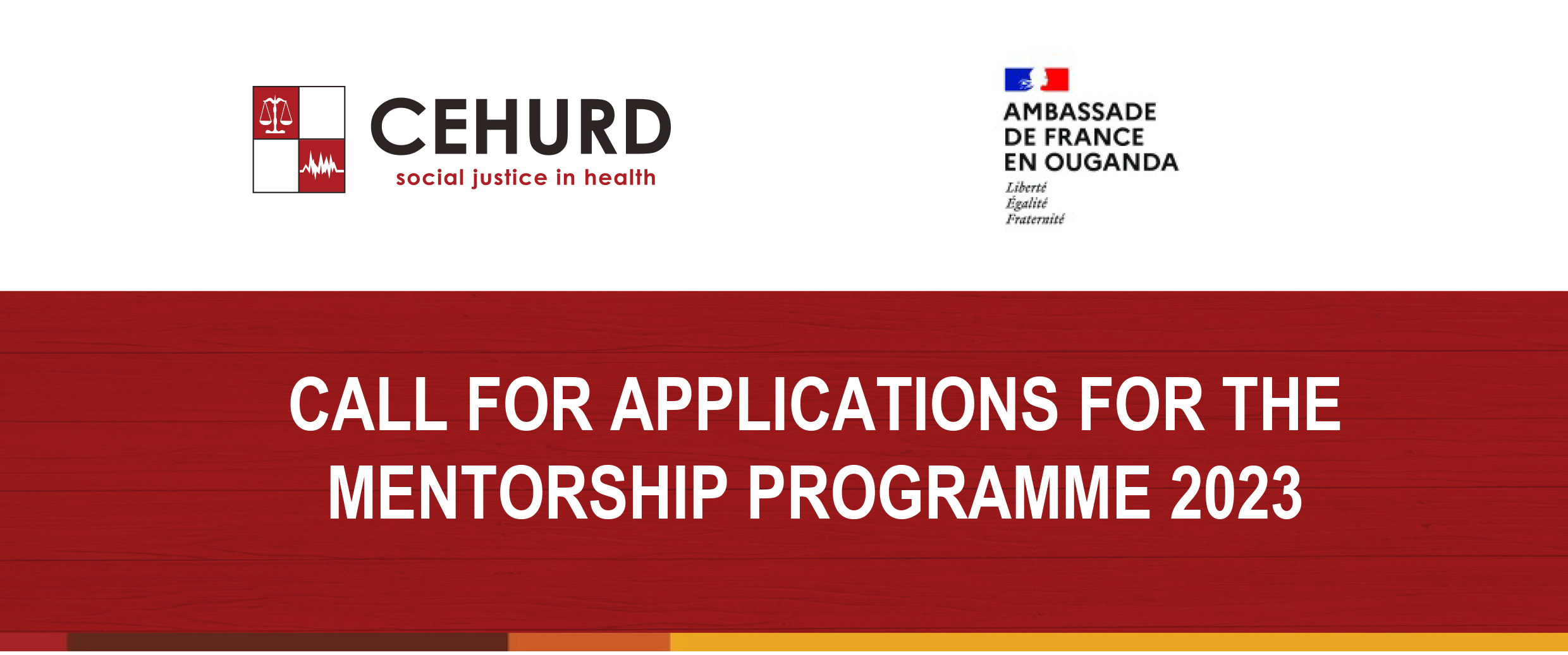 cehurd-s-mentorship-program-2023-call-for-applications