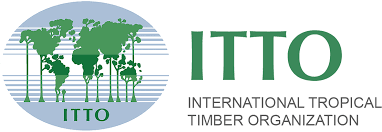 ITTO Fellowship Program 2023
