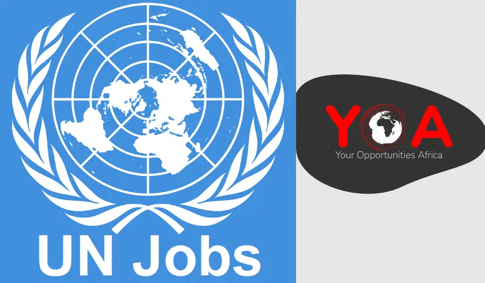 UNITED NATIONS CAREERS UN JOBS UN Vacancies   UNITED NATIONS CAREERS UN JOBS 