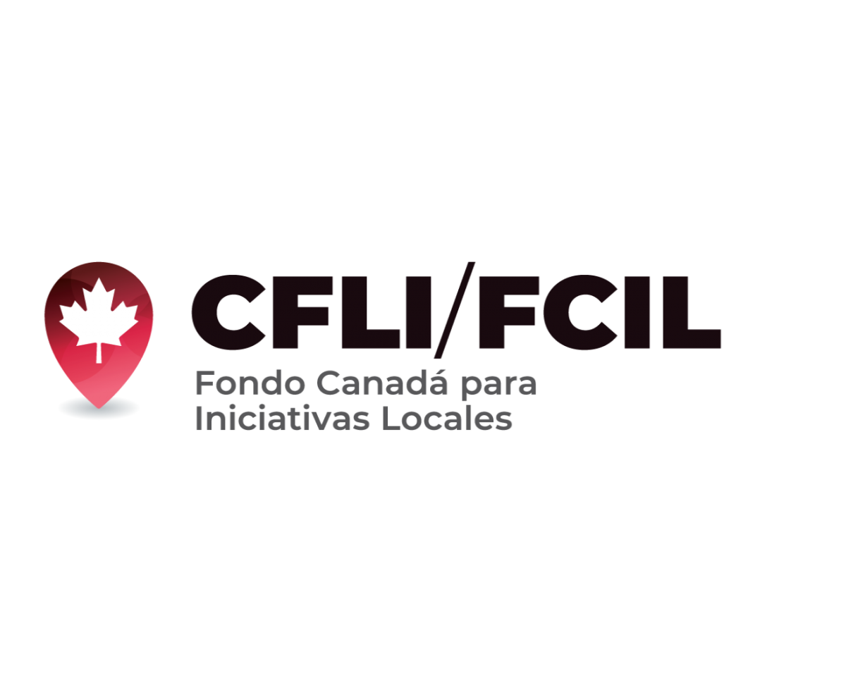 The Canada Fund for Local Initiatives (CFLI)