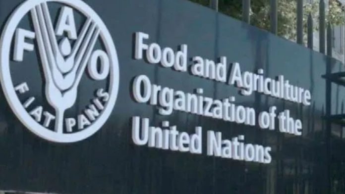 Food and Agriculture Organization FAO Fellowship PROGRAMME