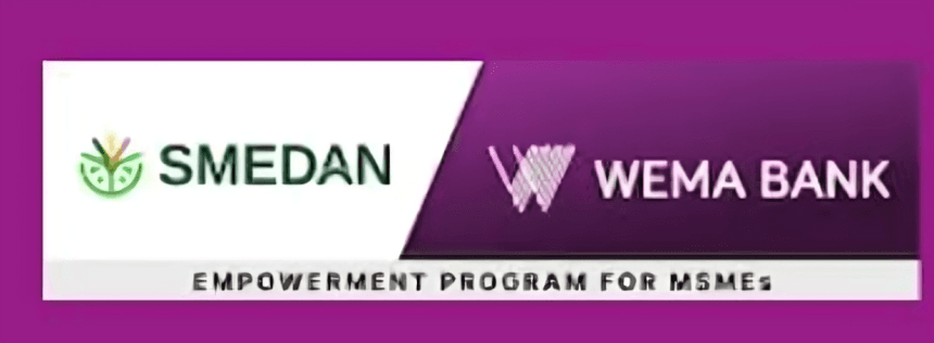 The SMEDAN-Wema Bank Capacity Building Program 2025 for Nigerian Youths ...